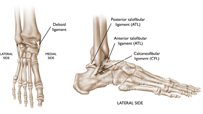 Best Ligament Surgeon in Jaipur