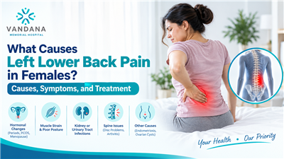What Causes Left Lower Back Pain in Females? Causes, Symptoms, and Treatment